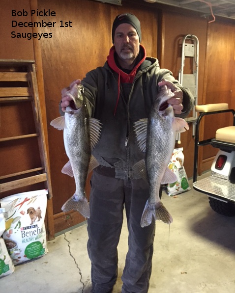Saugeyes caught by Bob Pickle